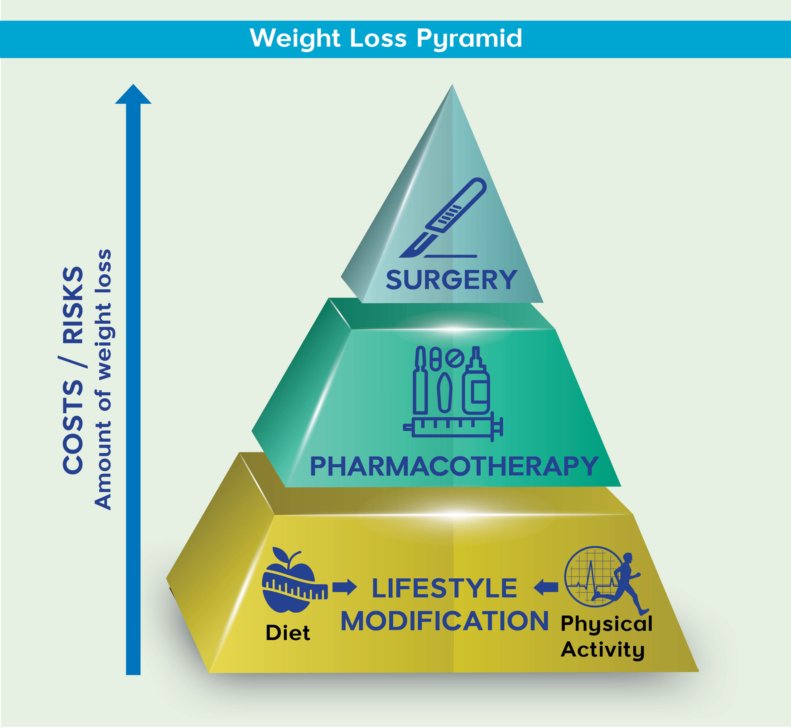 SKOOP Issue 14: Obesity: Solutions to a Growing Problem